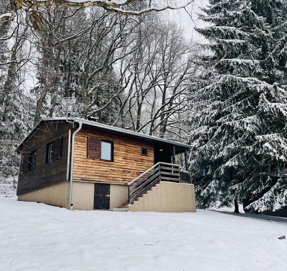 Chata Adam U Lipna Horní Planá Extérieur photo